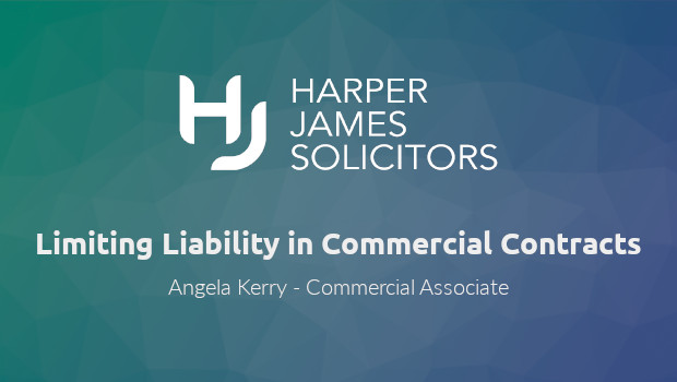 Limiting the liability of your business