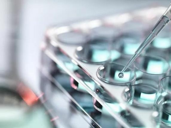 Helping biotech start-up MicrofluidX to secure £1.4m funding boost