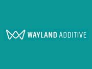 Wayland Additive