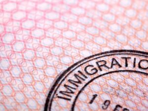 Immigration figures reveal sharp fall in work visas 