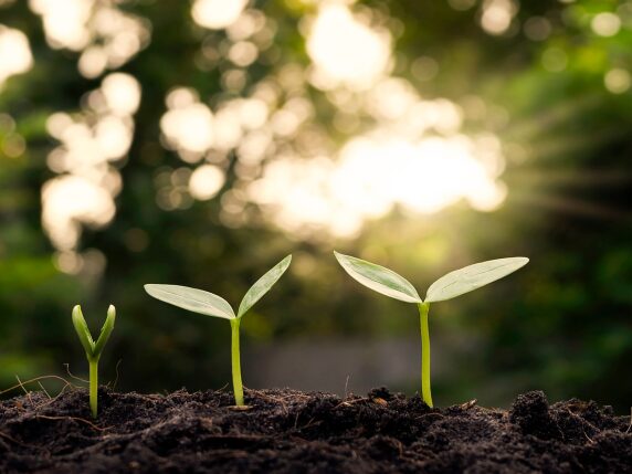 UK Sustainability Reporting Standards are coming for your contracts